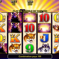 Die besten Online Casinos mit Spribe Slots
