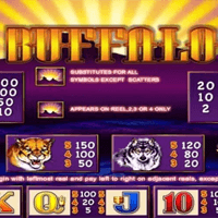 So funktioniert Buffalo