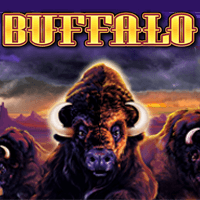 Buffalo