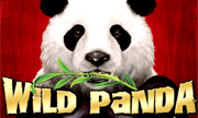 Wilde Panda
