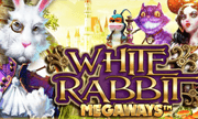 weißer Hase