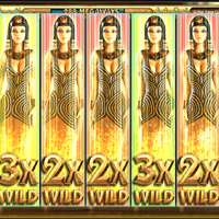 So funktioniert der Queen of Riches Slot