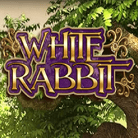 White Rabbit