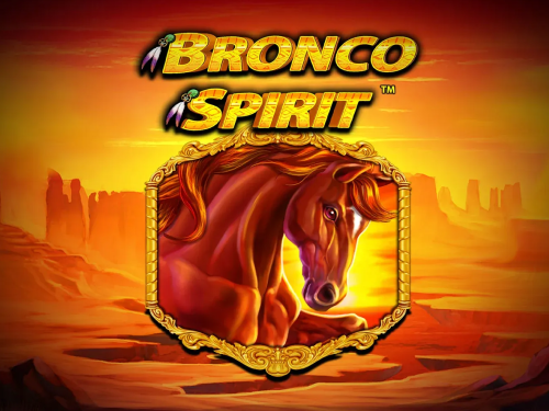 Bronco Spirit
