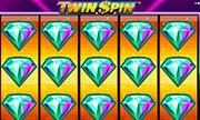 Twin Spin - Spielautomaten