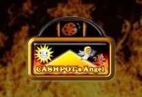 Cashpot Winkel